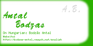 antal bodzas business card