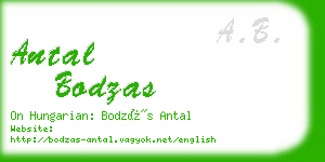 antal bodzas business card